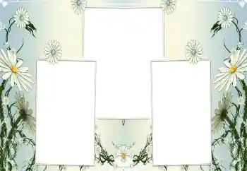 범주에서의 사진 효과 여성 프레임 № 196602 범주에서의 사진 효과 여성 프레임 № 196602