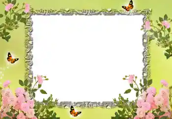 범주에서의 사진 효과 여성 프레임 № 196