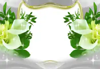 범주에서의 사진 효과 여성 프레임 № 197643