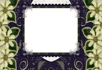 범주에서의 사진 효과 여성 프레임 № 197644