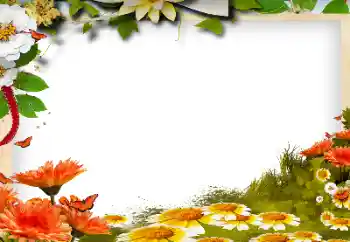 범주에서의 사진 효과 여성 프레임 № 198827 범주에서의 사진 효과 여성 프레임 № 198827