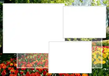 범주에서의 사진 효과 여성 프레임 № 198891 범주에서의 사진 효과 여성 프레임 № 198891