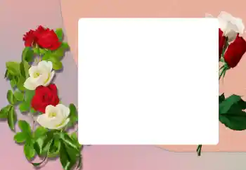 범주에서의 사진 효과 여성 프레임 № 198906