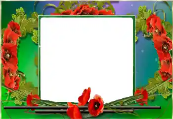 범주에서의 사진 효과 여성 프레임 № 198910