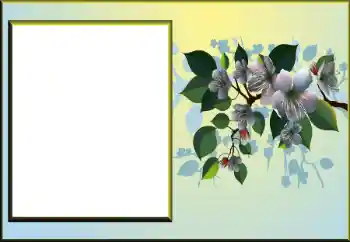 범주에서의 사진 효과 여성 프레임 № 198924