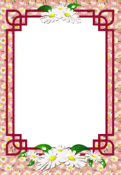 범주에서의 사진 효과 여성 프레임 № 198928