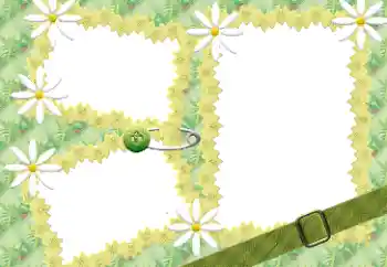 범주에서의 사진 효과 여성 프레임 № 198941