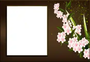 범주에서의 사진 효과 여성 프레임 № 198973