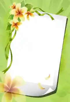 범주에서의 사진 효과 여성 프레임 № 199012