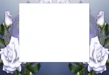 범주에서의 사진 효과 여성 프레임 № 199032