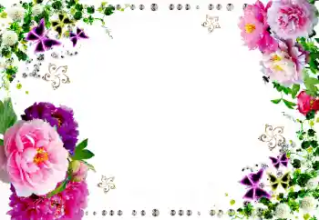 범주에서의 사진 효과 여성 프레임 № 20199