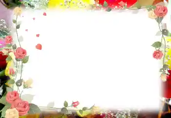 범주에서의 사진 효과 여성 프레임 № 202144