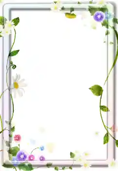 범주에서의 사진 효과 여성 프레임 № 20268