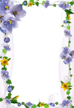 범주에서의 사진 효과 여성 프레임 № 20270