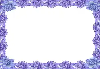 범주에서의 사진 효과 여성 프레임 № 20273