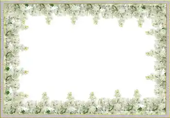 범주에서의 사진 효과 여성 프레임 № 20275