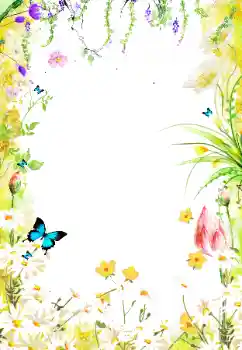 범주에서의 사진 효과 여성 프레임 № 20277