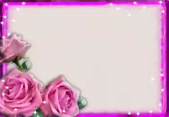 범주에서의 사진 효과 여성 프레임 № 20287