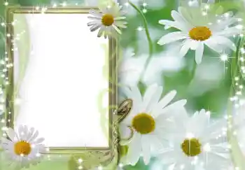 범주에서의 사진 효과 여성 프레임 № 202