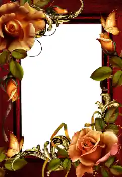 범주에서의 사진 효과 여성 프레임 № 203259