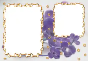 범주에서의 사진 효과 여성 프레임 № 203262