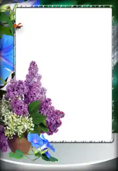 범주에서의 사진 효과 여성 프레임 № 203274