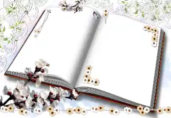 범주에서의 사진 효과 여성 프레임 № 203311