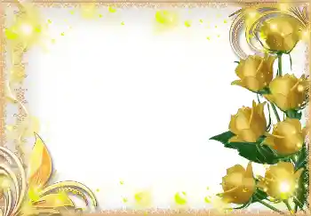 범주에서의 사진 효과 여성 프레임 № 2040