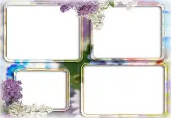 범주에서의 사진 효과 여성 프레임 № 205361