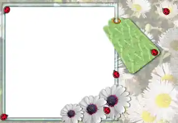 범주에서의 사진 효과 여성 프레임 № 205379