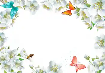 범주에서의 사진 효과 여성 프레임 № 205423