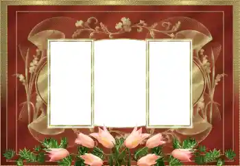 범주에서의 사진 효과 여성 프레임 № 205525