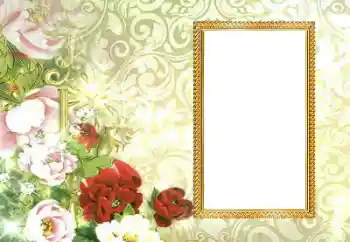 범주에서의 사진 효과 여성 프레임 № 205553