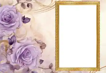 범주에서의 사진 효과 여성 프레임 № 205567