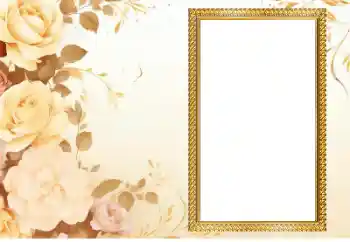 범주에서의 사진 효과 여성 프레임 № 205573