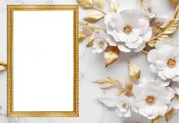 범주에서의 사진 효과 여성 프레임 № 205575