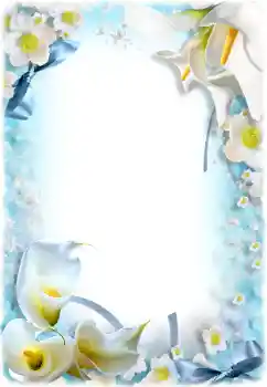 범주에서의 사진 효과 여성 프레임 № 205658