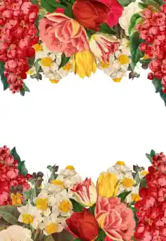 범주에서의 사진 효과 여성 프레임 № 205744