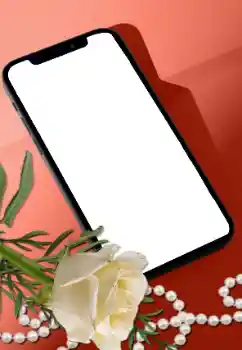 범주에서의 사진 효과 여성 프레임 № 205752