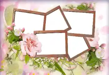 범주에서의 사진 효과 여성 프레임 № 205762