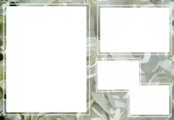 범주에서의 사진 효과 여성 프레임 № 205789