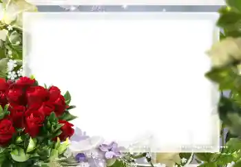 범주에서의 사진 효과 여성 프레임 № 205833