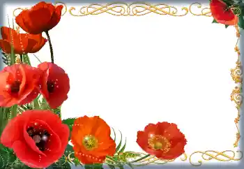 범주에서의 사진 효과 여성 프레임 № 205838 범주에서의 사진 효과 여성 프레임 № 205838