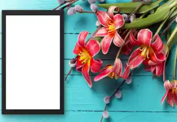 범주에서의 사진 효과 여성 프레임 № 206174 범주에서의 사진 효과 여성 프레임 № 206174