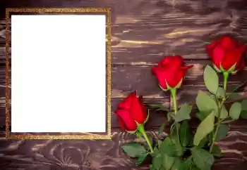 범주에서의 사진 효과 여성 프레임 № 206175 범주에서의 사진 효과 여성 프레임 № 206175