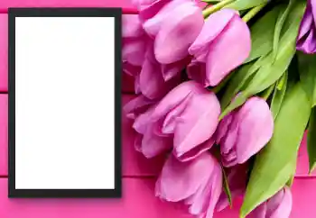 범주에서의 사진 효과 여성 프레임 № 206179 범주에서의 사진 효과 여성 프레임 № 206179