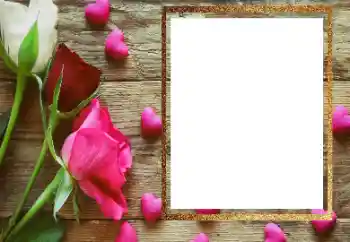 범주에서의 사진 효과 여성 프레임 № 206183 범주에서의 사진 효과 여성 프레임 № 206183