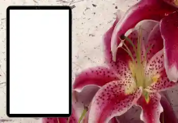 범주에서의 사진 효과 여성 프레임 № 206184 범주에서의 사진 효과 여성 프레임 № 206184