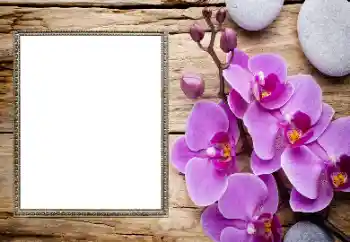 범주에서의 사진 효과 여성 프레임 № 206185 범주에서의 사진 효과 여성 프레임 № 206185