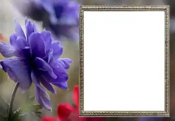 범주에서의 사진 효과 여성 프레임 № 206189 범주에서의 사진 효과 여성 프레임 № 206189